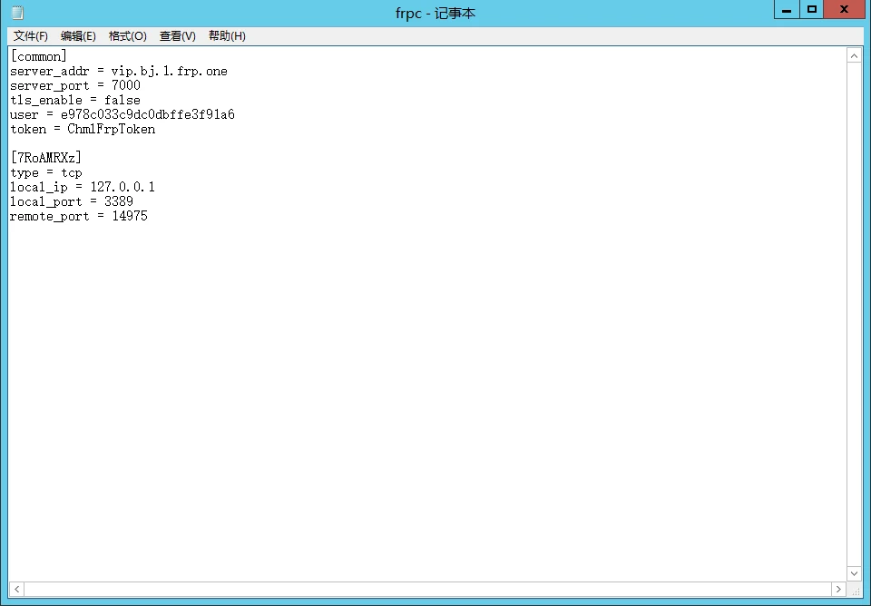 rdpini文件